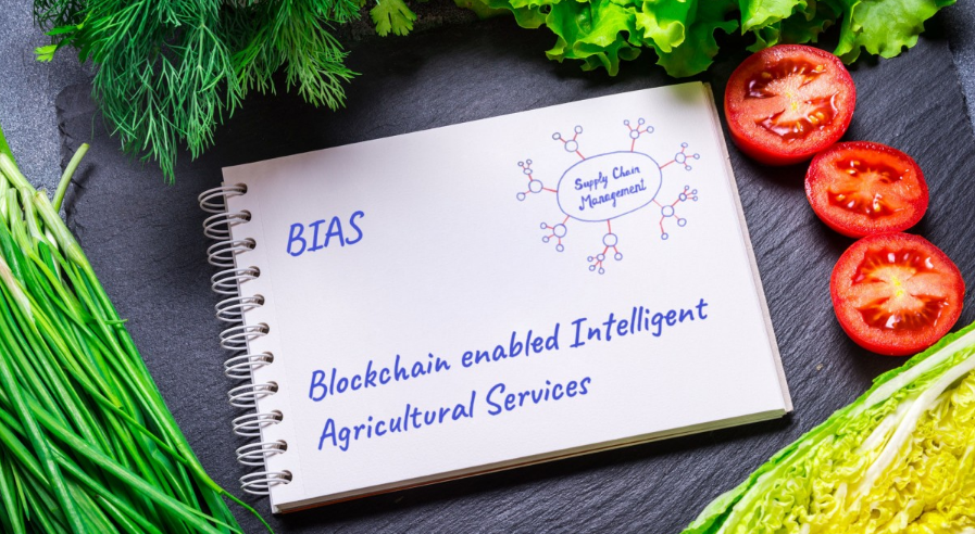 NetValue e il progetto Bias: l’intelligenza artificiale al servizio della filiera agroalimentare.